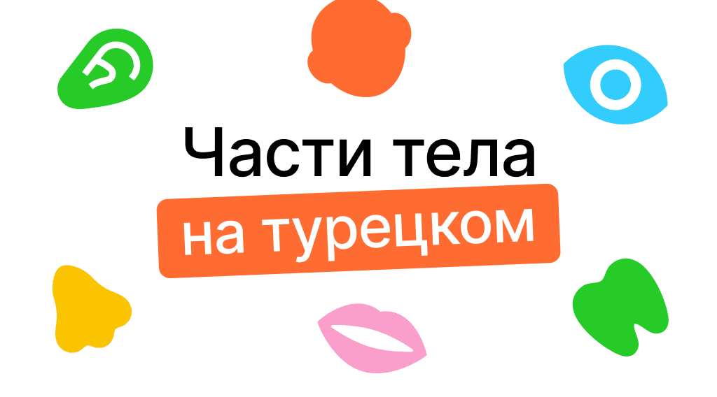 Части тела на турецком