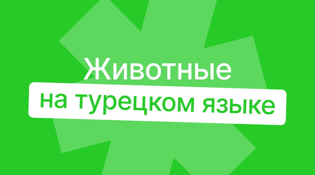 Животные на турецком языке