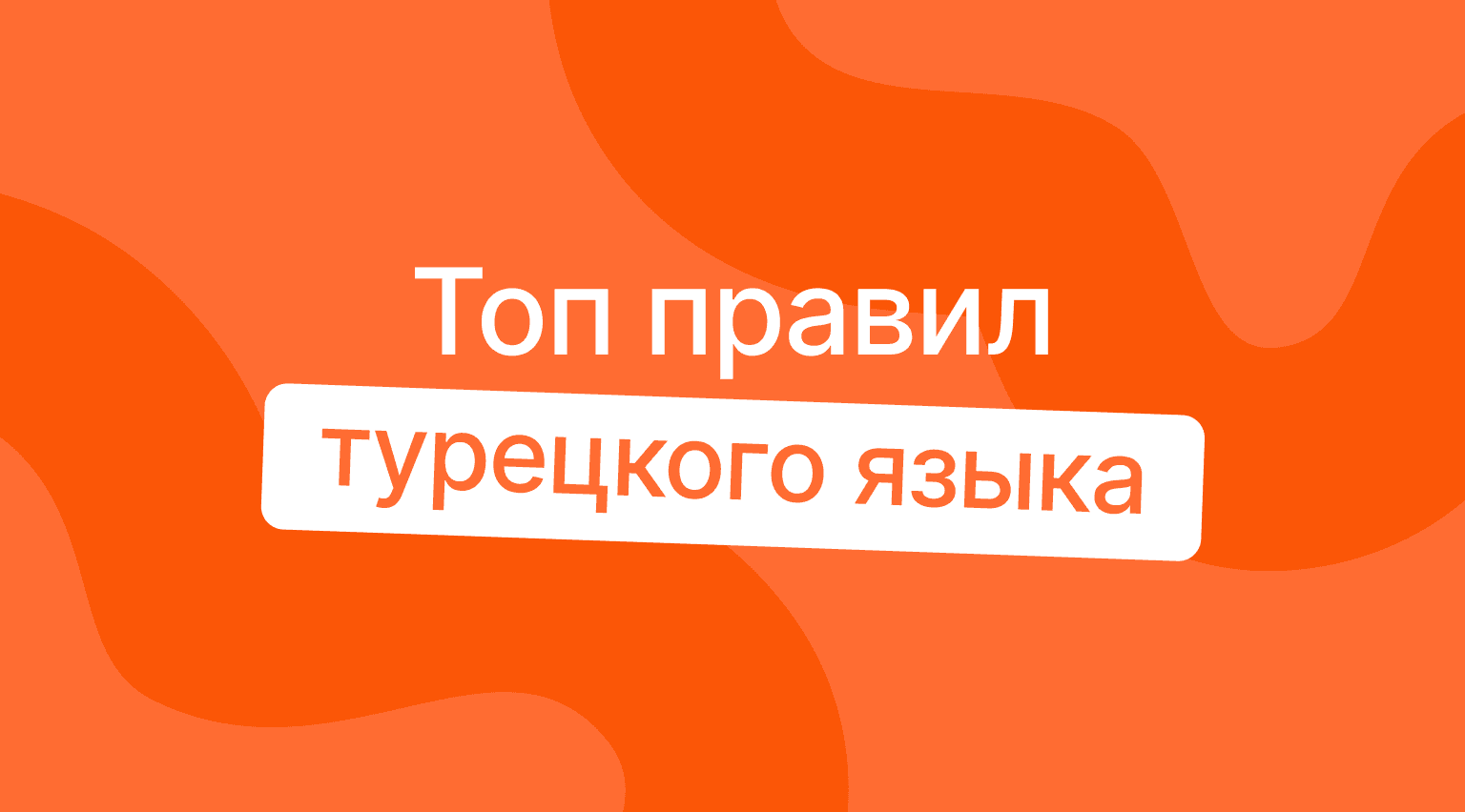 Топ правил турецкого языка для начинающих – основы грамматики