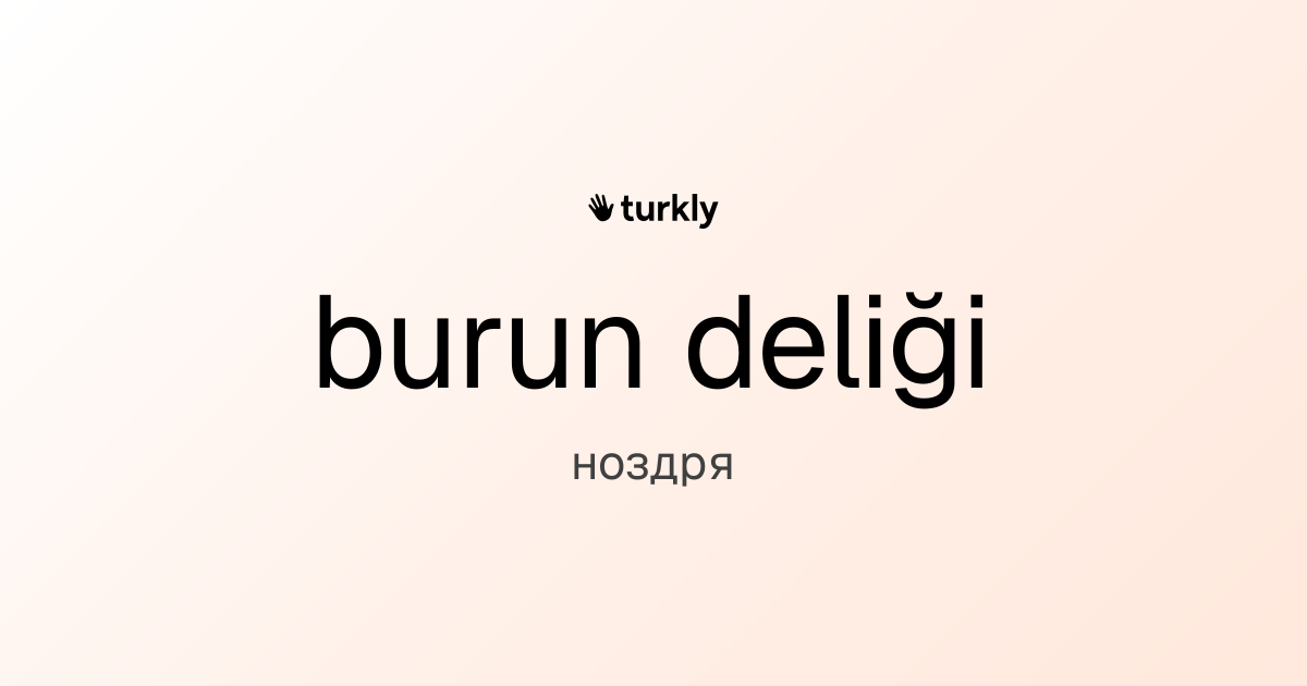 burun deliği — ноздря