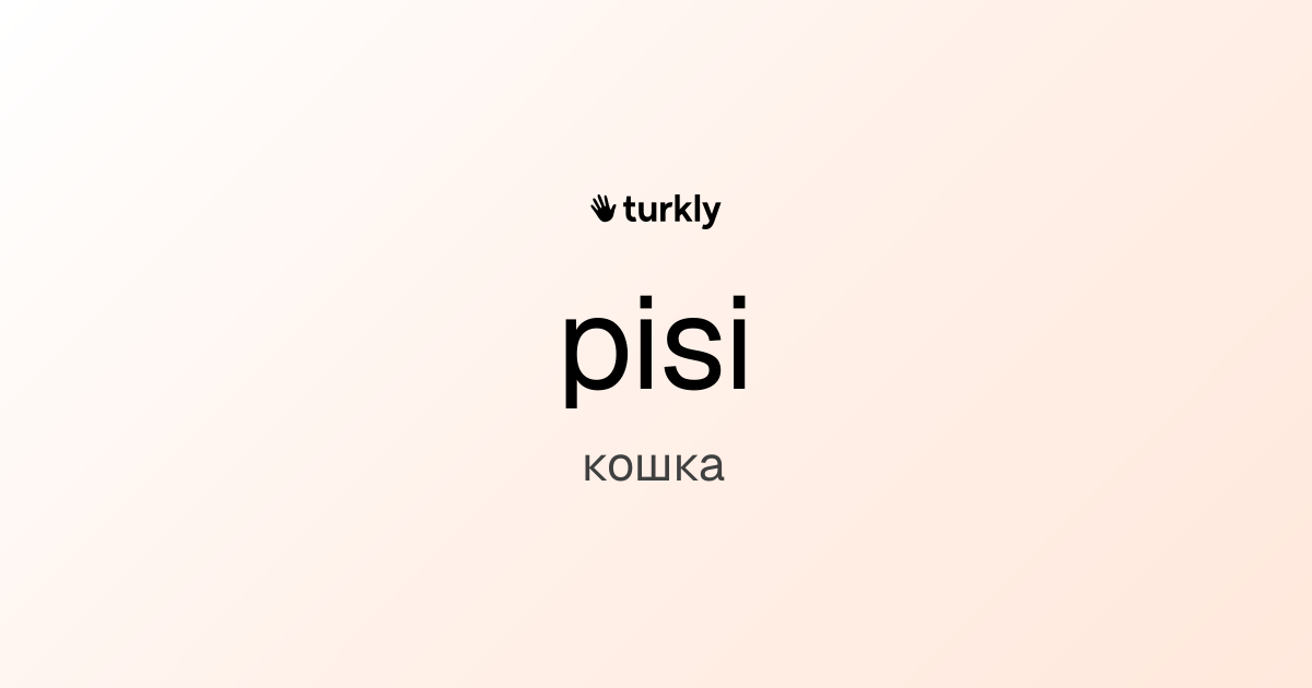 pisi — кошка