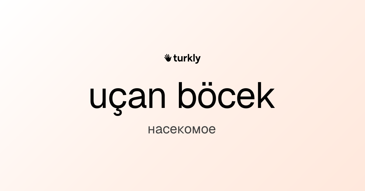 uçan böcek — насекомое